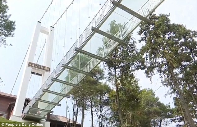 The bridge was open to public on September 30 as the latest attraction of Shiyanhu Eco Park