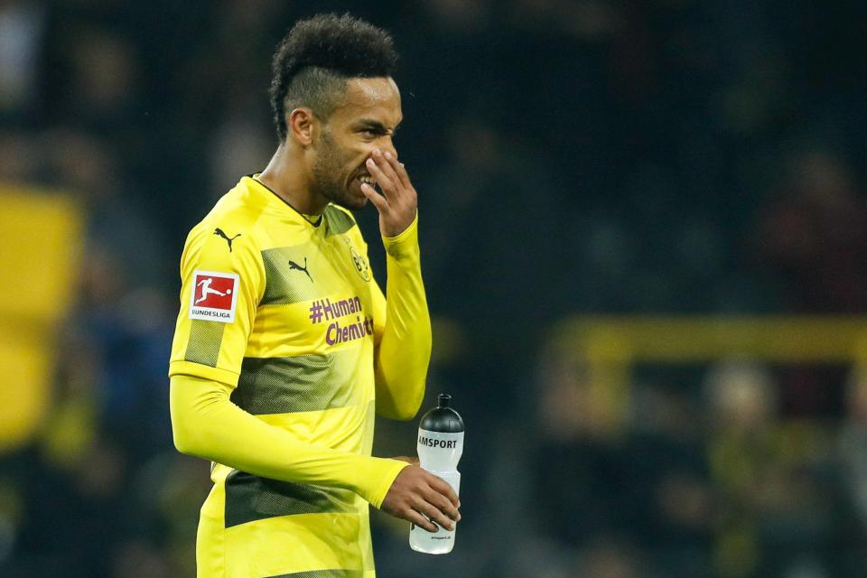 auba